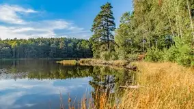 Jezioro Wesołek i puszcza Piska - zdjęcie 1