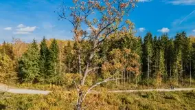 Jesień na mazurskich traktach, polach i łąkach, październik 2022 - zdjęcie 18