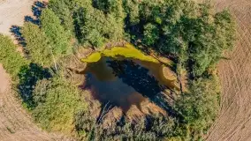 Jesień na mazurskich traktach, polach i łąkach, październik 2022 - zdjęcie 45