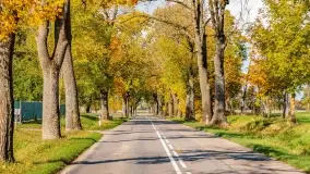 Jesień na mazurskich traktach, polach i łąkach, październik 2022 - zdjęcie 2