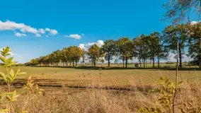 Jesień na mazurskich traktach, polach i łąkach, październik 2022 - zdjęcie 106