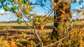 Jesień na mazurskich traktach, polach i łąkach, październik 2022 - zdjęcie 144