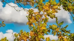 Jesień na mazurskich traktach, polach i łąkach, październik 2022 - zdjęcie 124