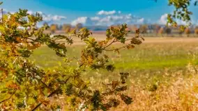 Jesień na mazurskich traktach, polach i łąkach, październik 2022 - zdjęcie 110