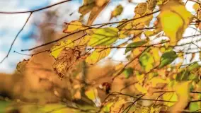 Jesień na mazurskich traktach, polach i łąkach, październik 2022 - zdjęcie 146