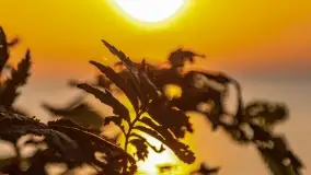 Zachód słońca w Pieczarkach, jezioro Dargin, lipiec 2022 - zdjęcie 18