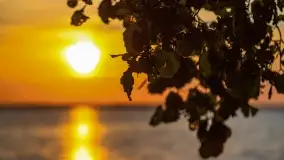 Zachód słońca w Pieczarkach, jezioro Dargin, lipiec 2022 - zdjęcie 41