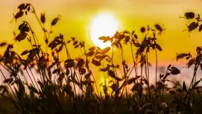 Zachód słońca w Pieczarkach, jezioro Dargin, lipiec 2022 - zdjęcie 40