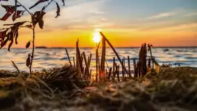 Zachód słońca w Pieczarkach, jezioro Dargin, lipiec 2022 - zdjęcie 11