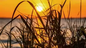 Zachód słońca w Pieczarkach, jezioro Dargin, lipiec 2022 - zdjęcie 14