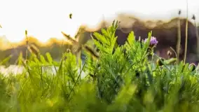 Zachód słońca w Rynie, październik 2022 - zdjęcie 3