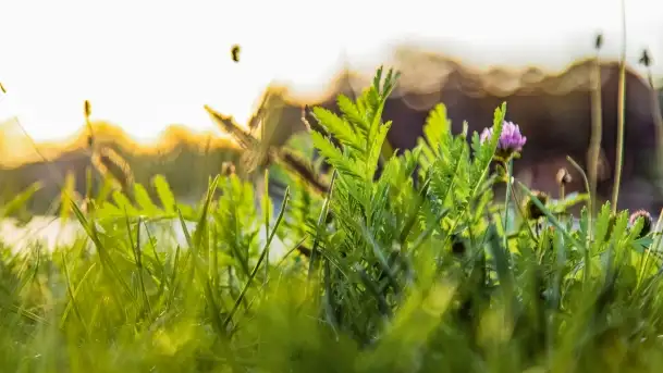 Zachód słońca w Rynie, październik 2022 - zdjęcie 3