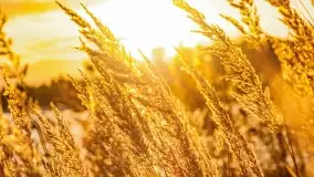 Zachód słońca w Rynie, październik 2022 - zdjęcie 19