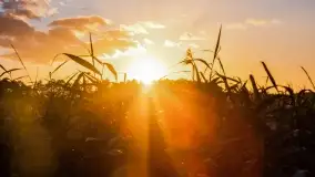 Jesienny zachód słońca nad jeziorem Mój, październik 2022 - zdjęcie 11