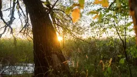 Jesienny zachód słońca nad jeziorem Mój, październik 2022 - zdjęcie 18