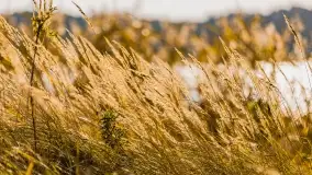 Fotograficzne podsumowanie jesieni na Mazurach 2022 - zdjęcie 89