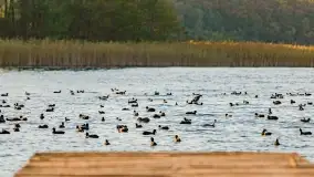 Fotograficzne podsumowanie jesieni na Mazurach 2022 - zdjęcie 14