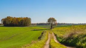 Fotograficzne podsumowanie jesieni na Mazurach 2022 - zdjęcie 72