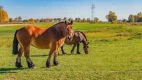 Fotograficzne podsumowanie jesieni na Mazurach 2022 - zdjęcie 94