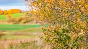 Fotograficzne podsumowanie jesieni na Mazurach 2022 - zdjęcie 121