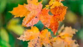 Fotograficzne podsumowanie jesieni na Mazurach 2022 - zdjęcie 118