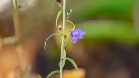 Fotograficzne podsumowanie jesieni na Mazurach 2022 - zdjęcie 165