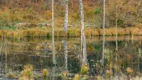 Fotograficzne podsumowanie jesieni na Mazurach 2022 - zdjęcie 125