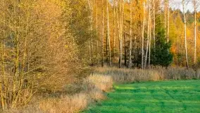 Fotograficzne podsumowanie jesieni na Mazurach 2022 - zdjęcie 130