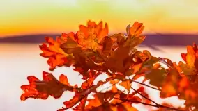 Fotograficzne podsumowanie jesieni na Mazurach 2022 - zdjęcie 144