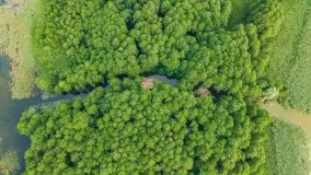 Mazurskie, przypadkowe obrazki z lata 2022 - zdjęcie 9