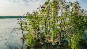 Mazurskie, przypadkowe obrazki z lata 2022 - zdjęcie 24