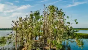 Mazurskie, przypadkowe obrazki z lata 2022 - zdjęcie 2