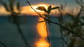 Pochmurny zachód słońca w Pierkunowie nad Kisajnem - zdjęcie 15