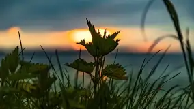 Pochmurny zachód słońca w Pierkunowie nad Kisajnem - zdjęcie 10