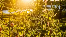 Zachód słońca nad jeziorem Dejgunek - zdjęcie 7