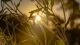 Zachód słońca nad jeziorem Dejgunek - zdjęcie 18