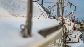 Pierwszy śnieg już za nami... Bocianie Gniazdo w Rynie - zdjęcie 8