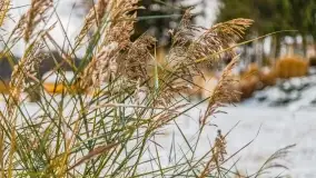 Pierwszy śnieg już za nami... Bocianie Gniazdo w Rynie - zdjęcie 20