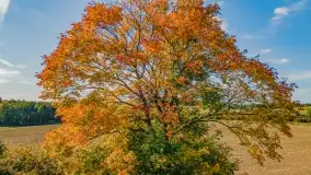 Kolory wrześniowych Mazur - zdjęcie 22