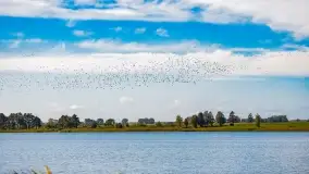 Kolory wrześniowych Mazur - zdjęcie 72