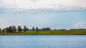 Kolory wrześniowych Mazur - zdjęcie 14