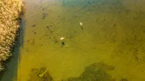 Kolory wrześniowych Mazur - zdjęcie 34