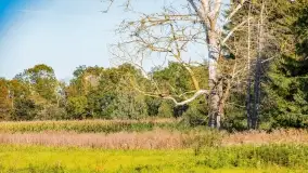 Kolory wrześniowych Mazur - zdjęcie 78