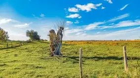 Kolory wrześniowych Mazur - zdjęcie 50