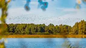 Kolory wrześniowych Mazur - zdjęcie 64