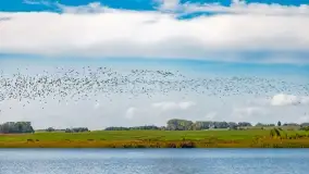 Kolory wrześniowych Mazur - zdjęcie 84