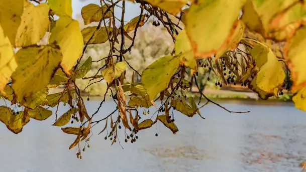 Jesienny Kętrzyn, październik 2022 - zdjęcie 7