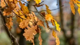 Jesienny Kętrzyn, październik 2022 - zdjęcie 41