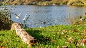 Jesienny Kętrzyn, październik 2022 - zdjęcie 13