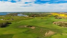 Rzepakowe pola, przypominamy żółty kolor Mazur - zdjęcie 17